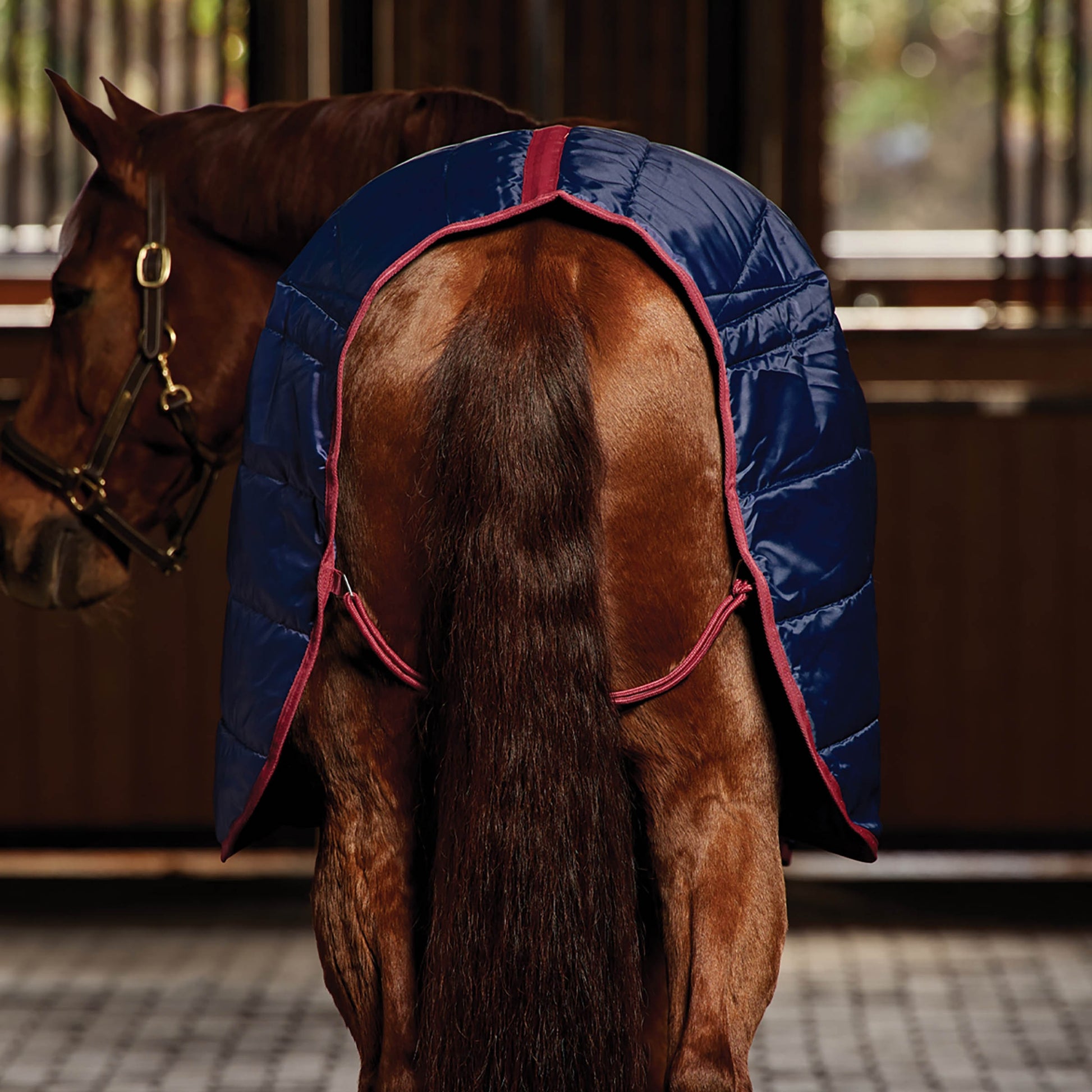 Weatherbeeta Stable Rug 220g