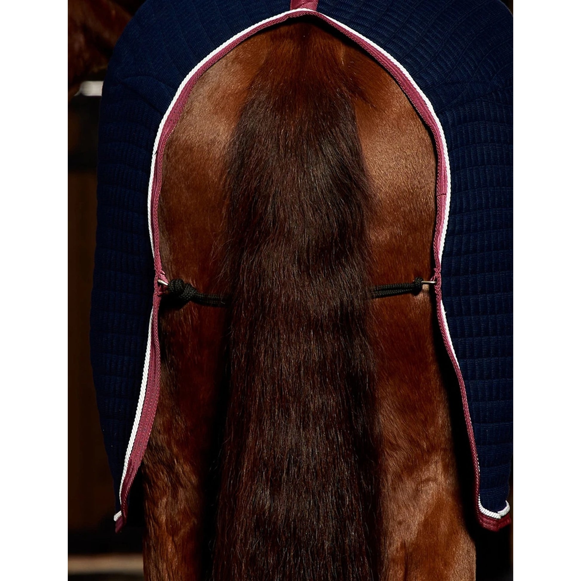 Weatherbeeta Thermocell Cooler Standard Neck
