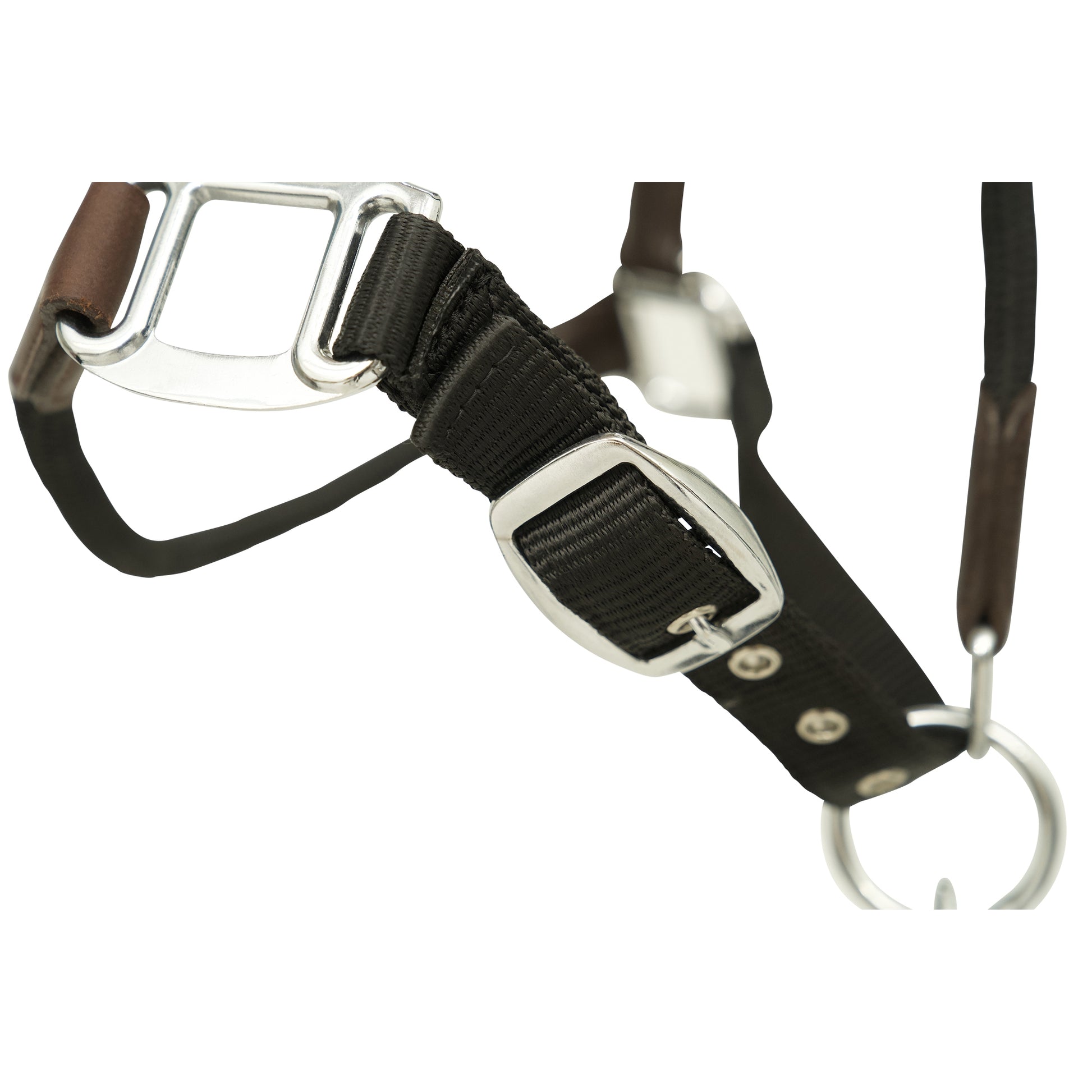 Huntley Equestrian Nylon Halter and Removable Lead with Snap