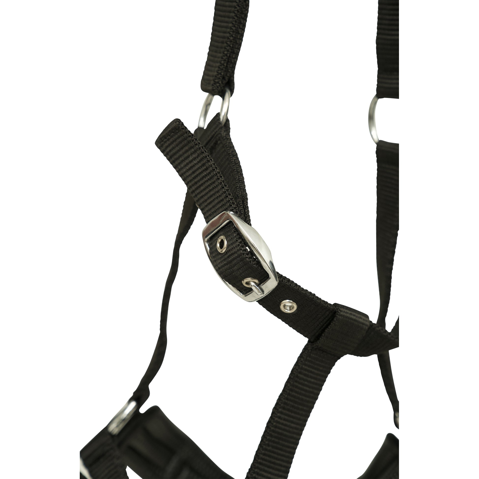 Huntley Equestrian Nylon Padded Lunging Caveson