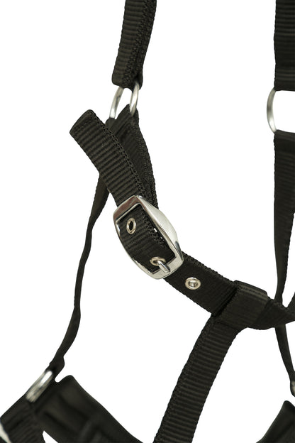Huntley Equestrian Nylon Padded Lunging Caveson