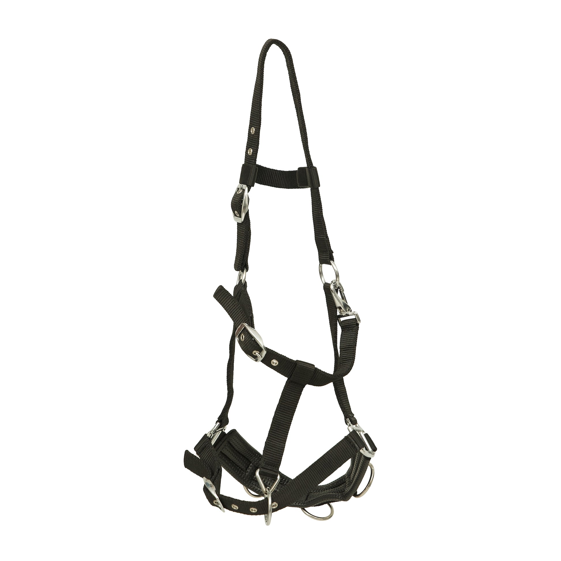 Huntley Equestrian Nylon Padded Lunging Caveson