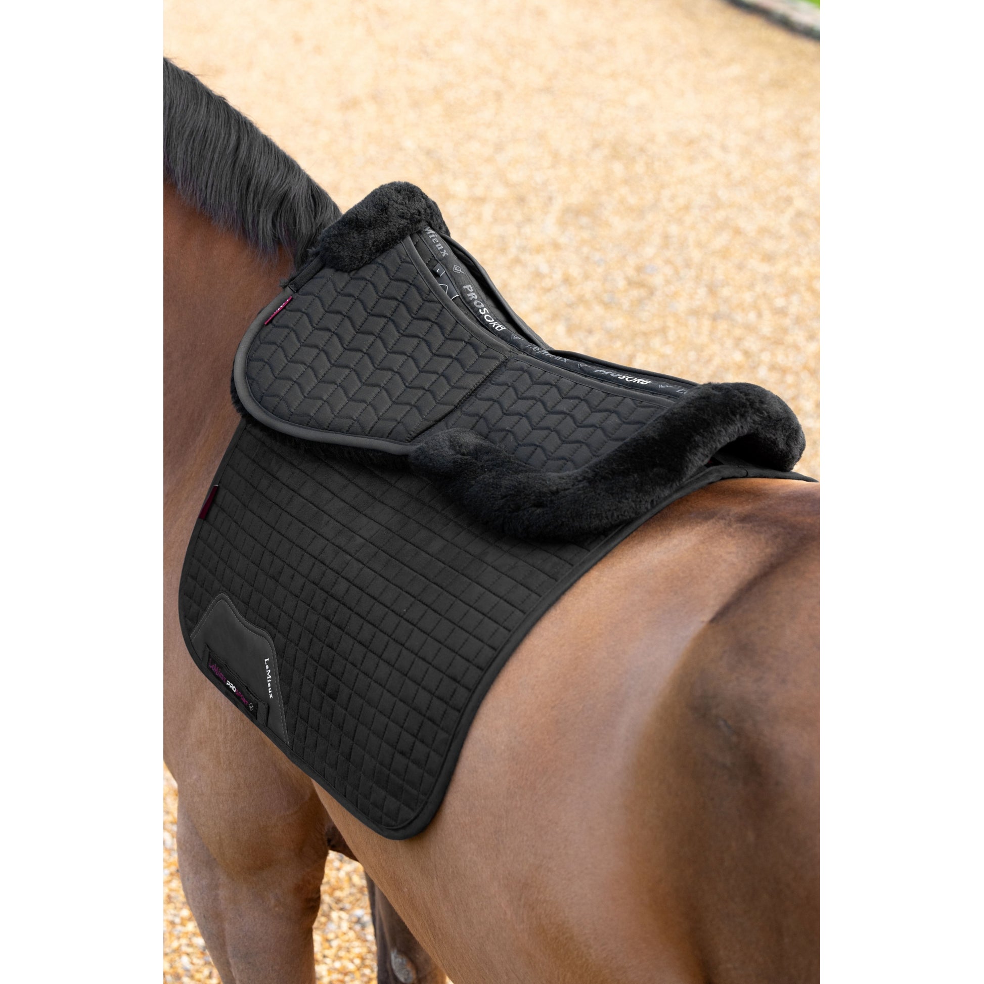 Lemieux Merino+ ProSorb 2 Pocket Half Pad