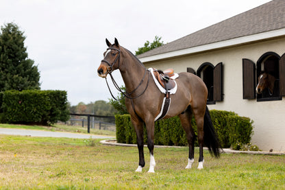 Lemieux Merino+ Hunter Saddle Pad