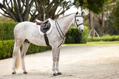 LeMieux Stitched Hunter Bridle with Laced Reins