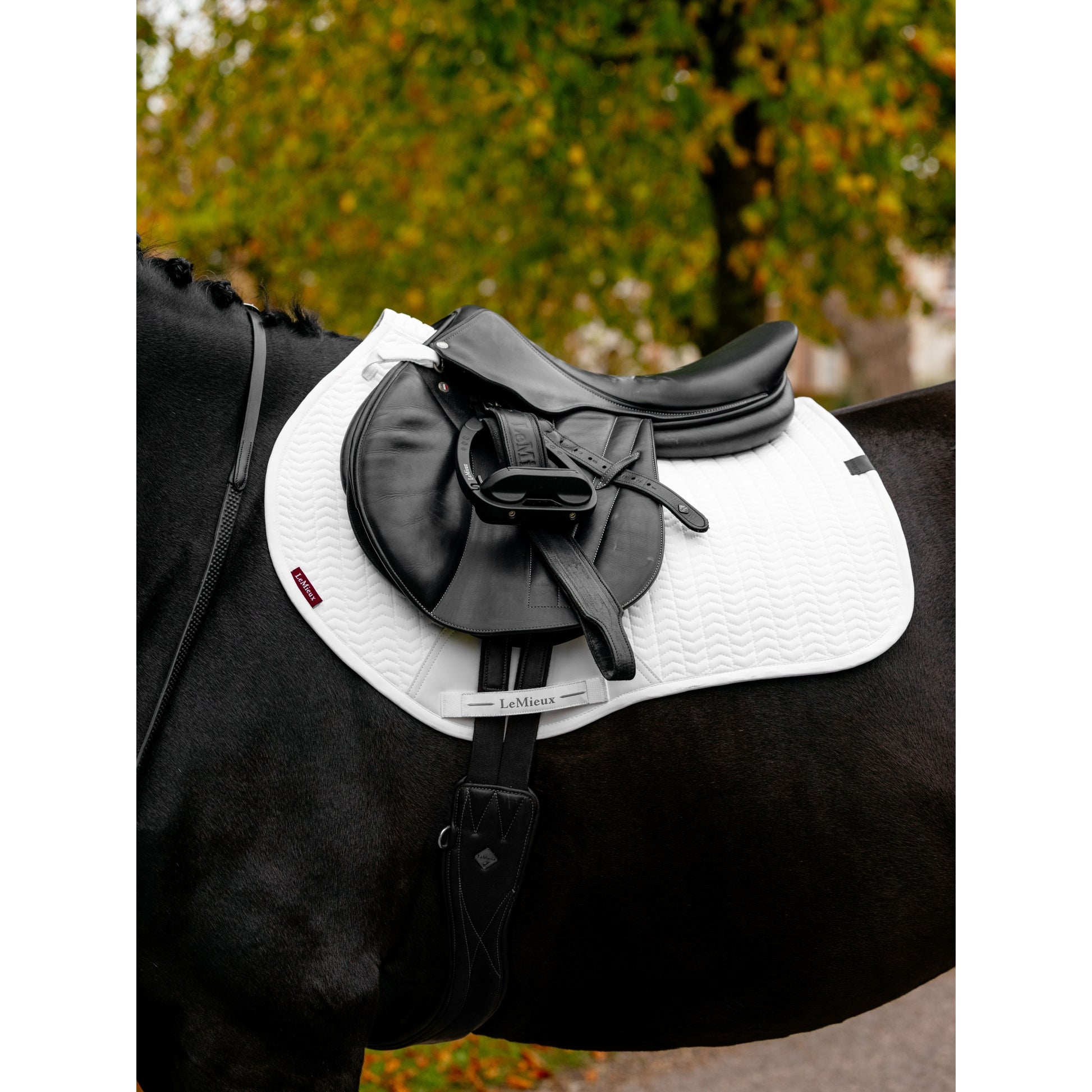 Lemieux Essence Eurojump Square Pad