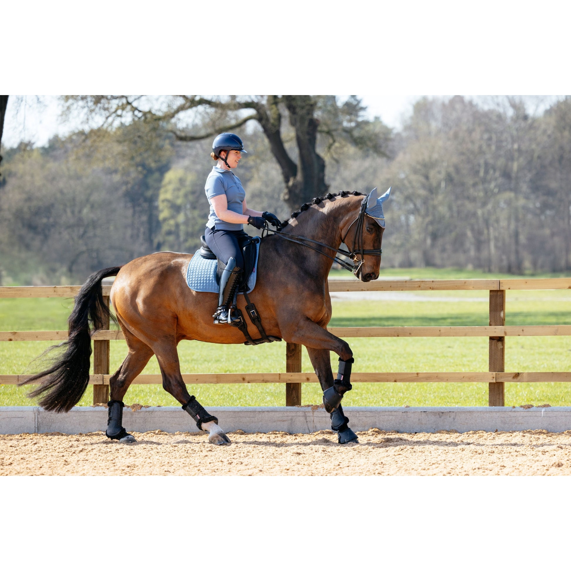 Lemieux Suede Dressage Square Pad