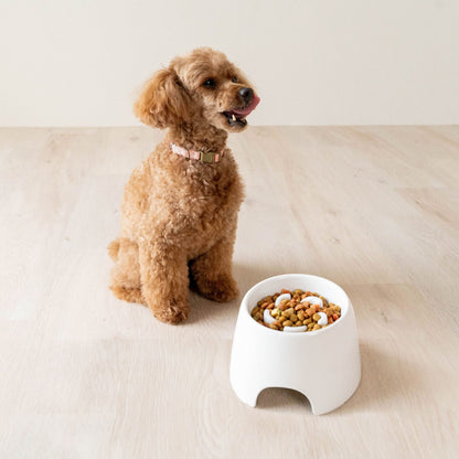 Richell Raised Slow Feeder Bowl