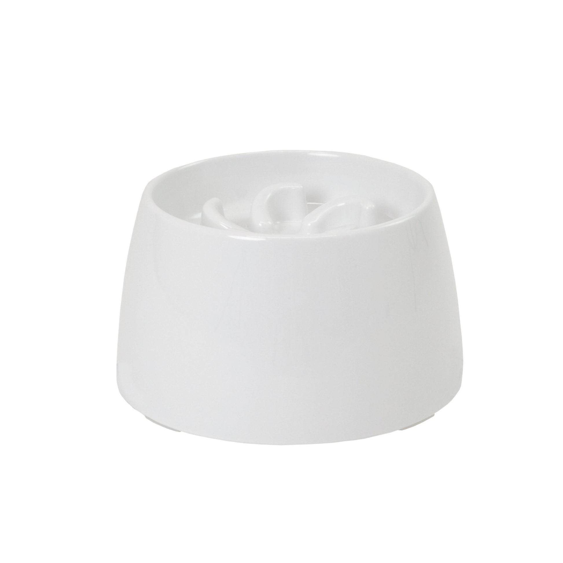 Richell Raised Slow Feeder Bowl
