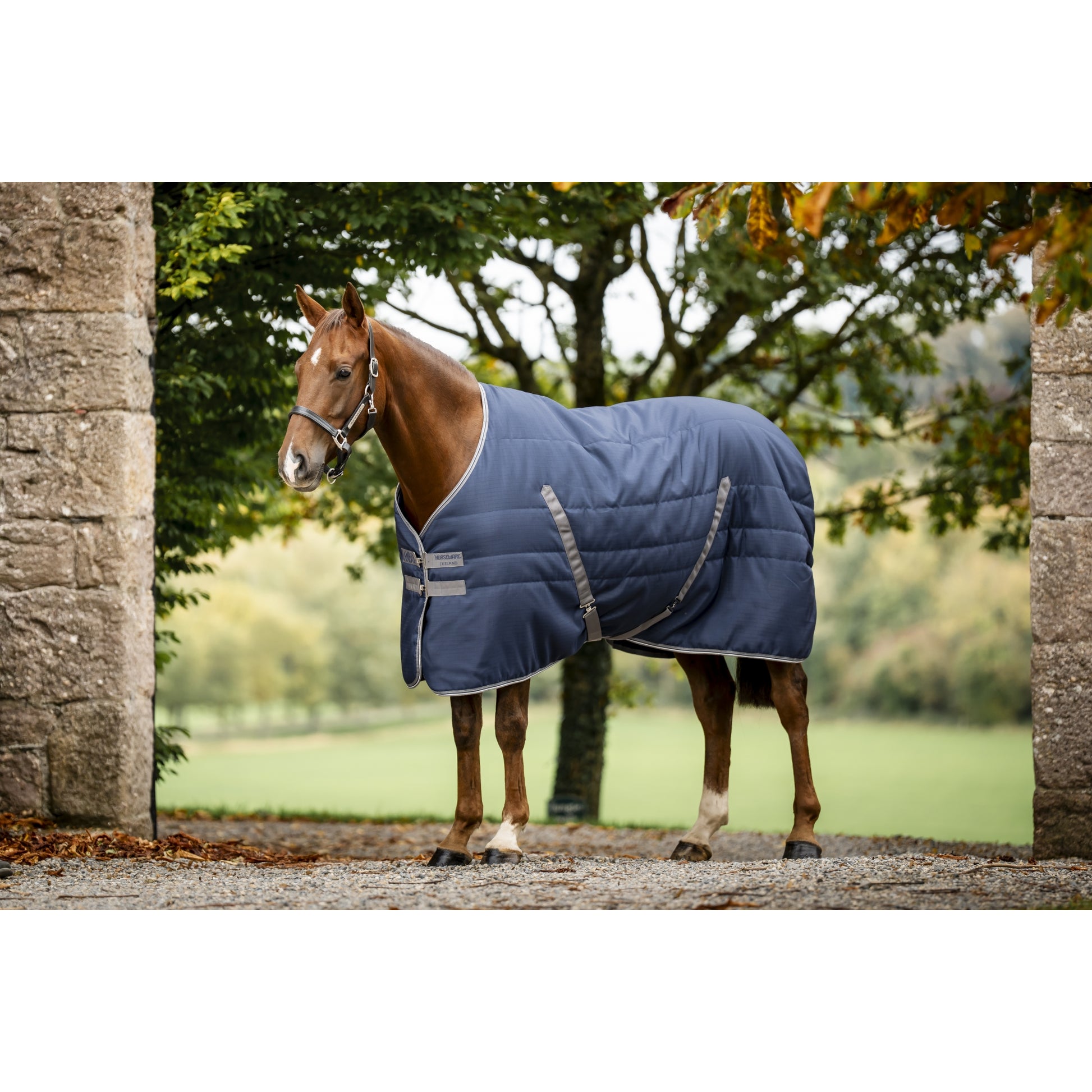 Rambo Stable 400g