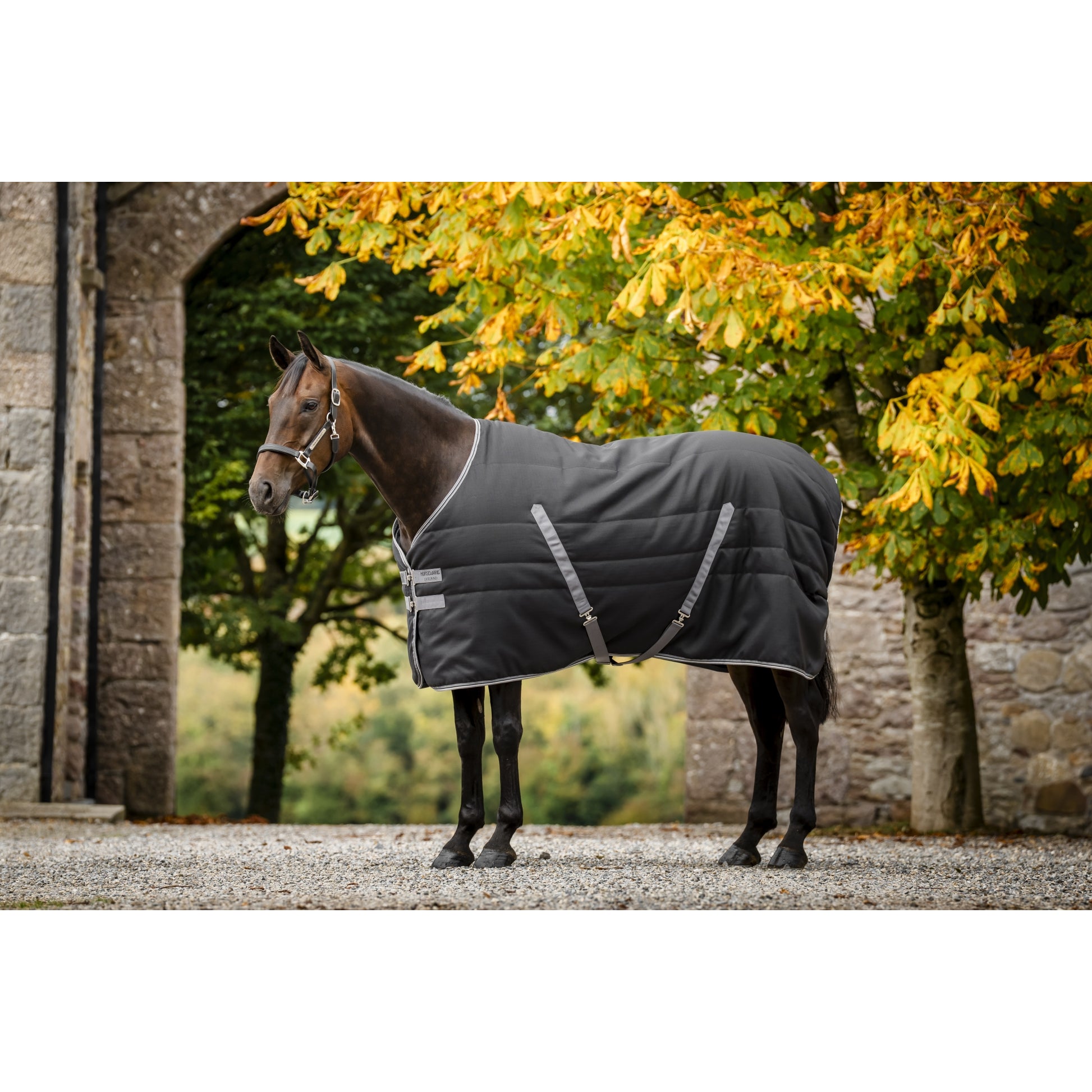 Rambo Stable 400g