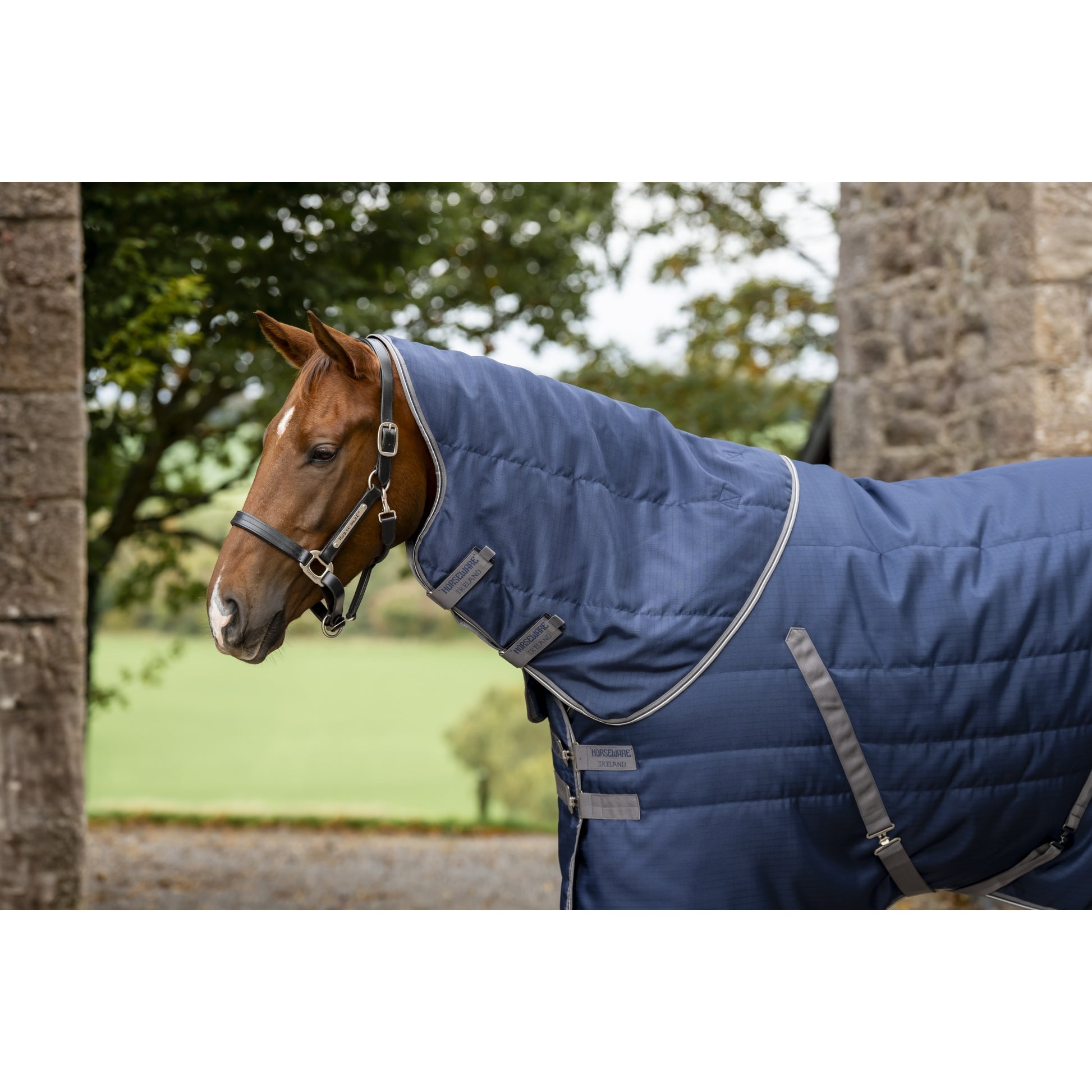 Rambo Stable Hood 200g