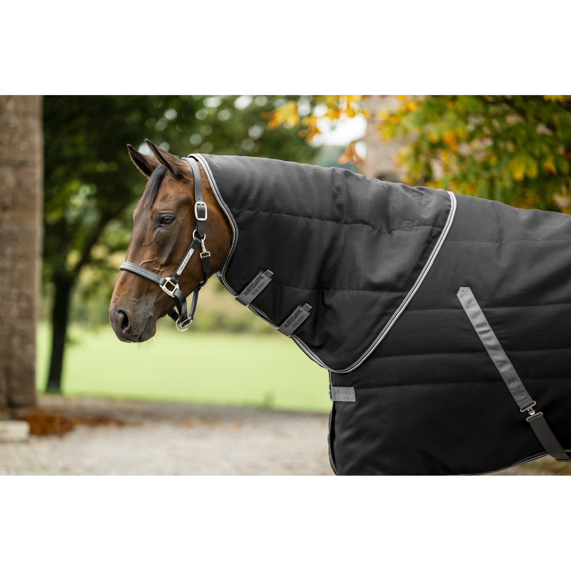 Rambo Stable Hood 200g