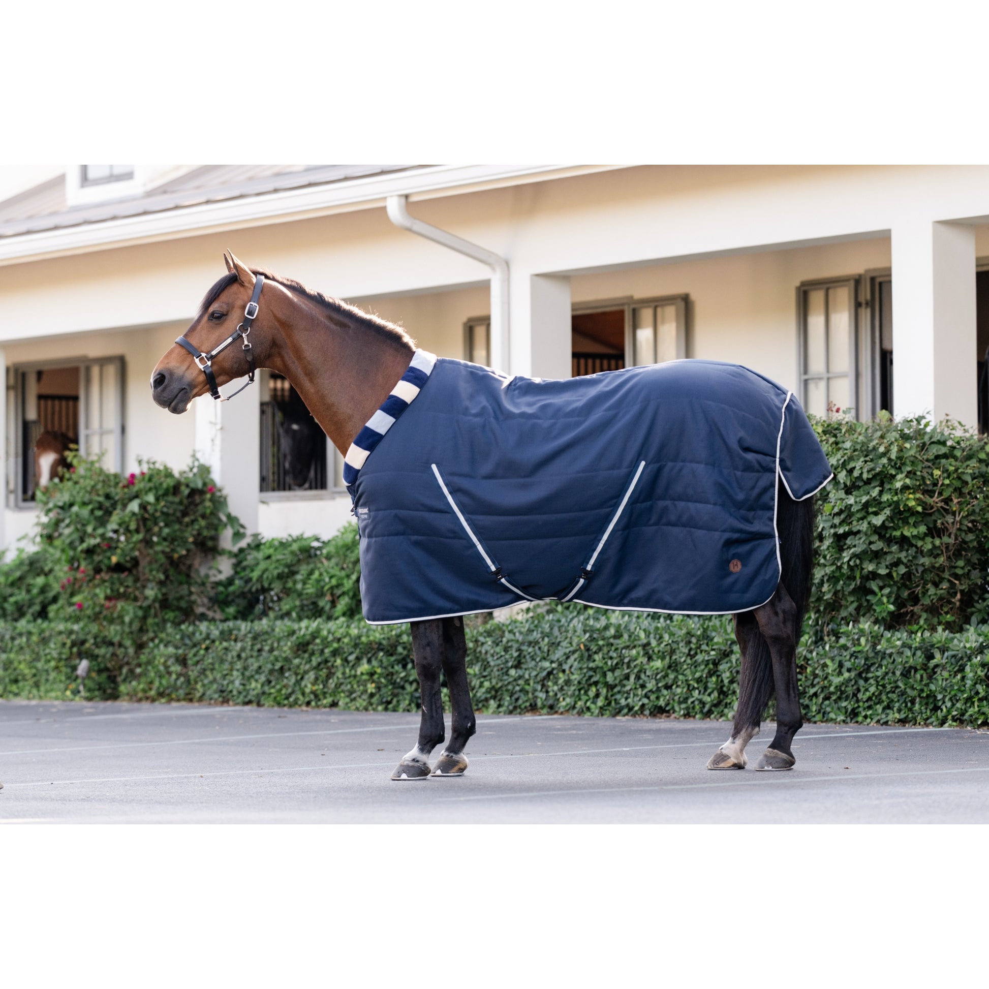 Horseware Newmarket Cozy Stable 200g