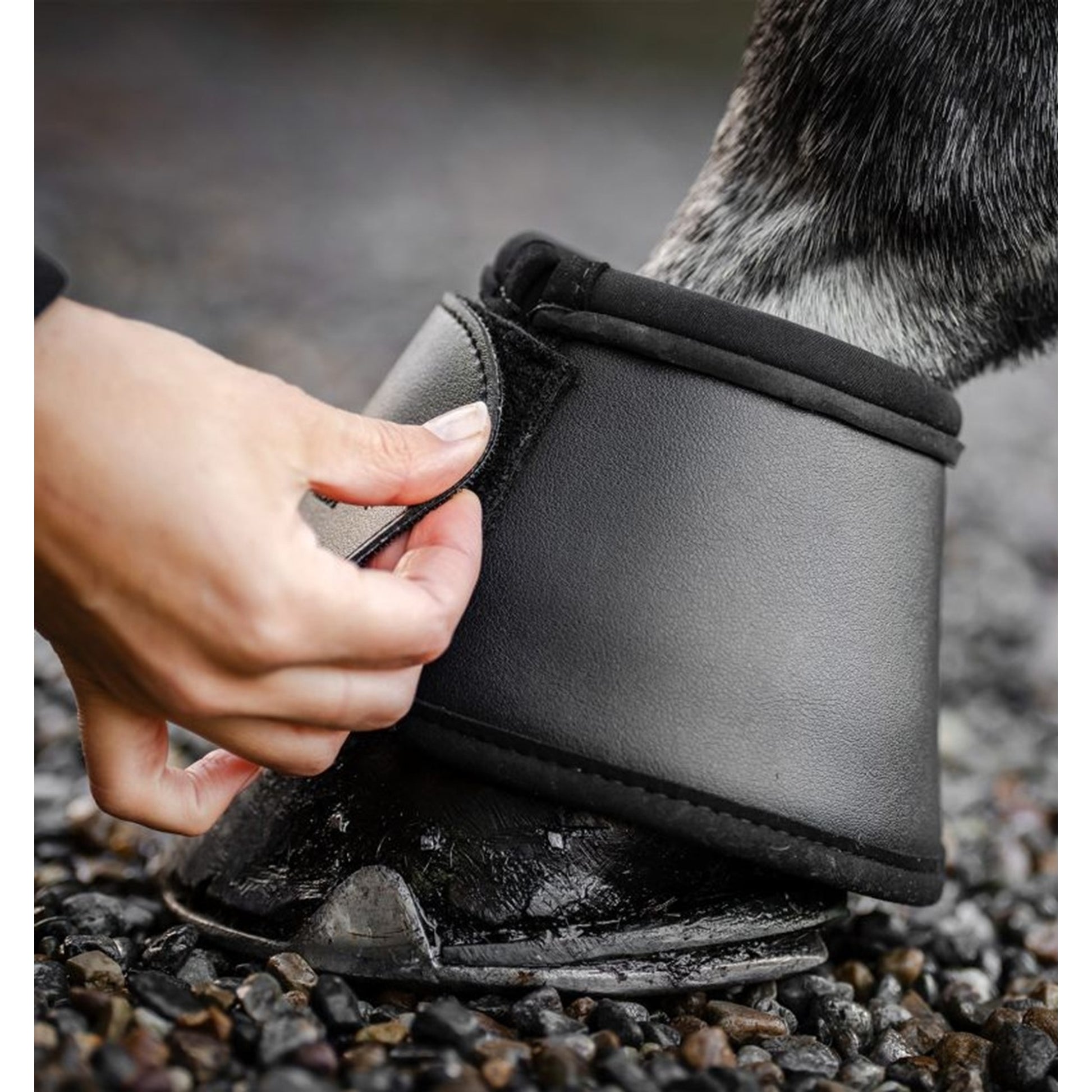 Horseware Overreach Boots
