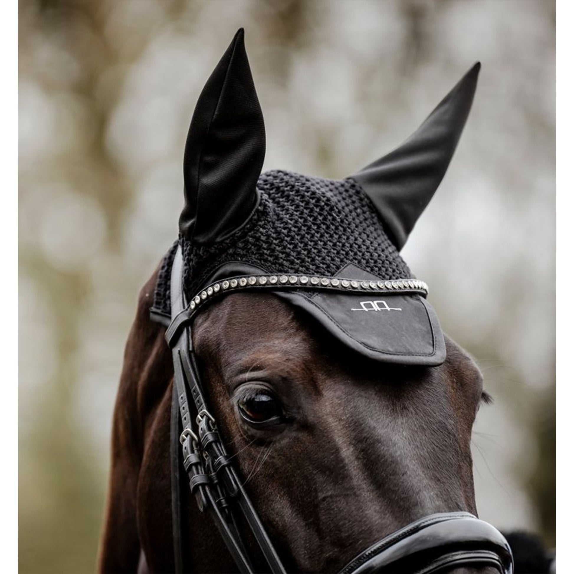 Alessandro Albanese Ear Net