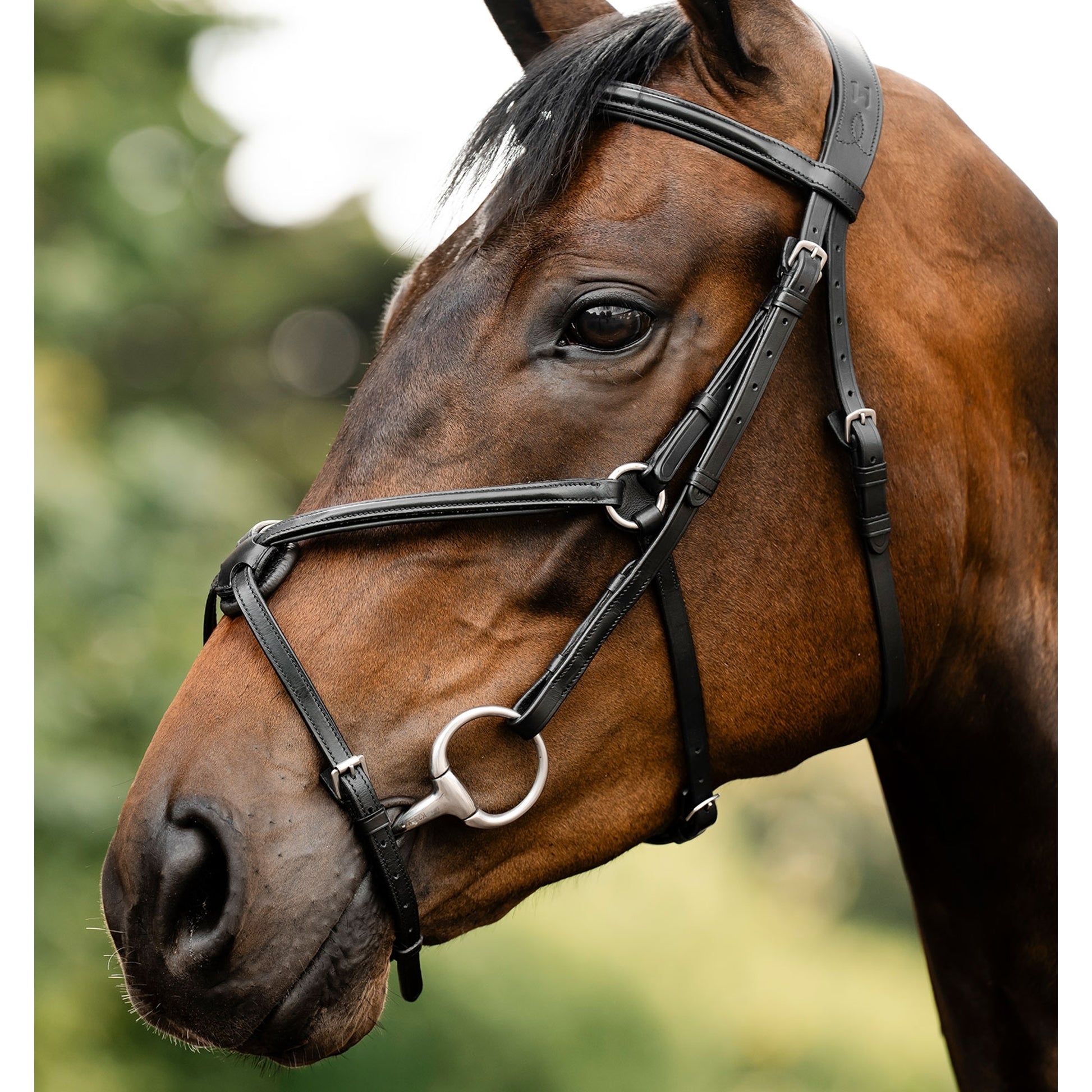 Horseware Figure 8 Grackle Bridle