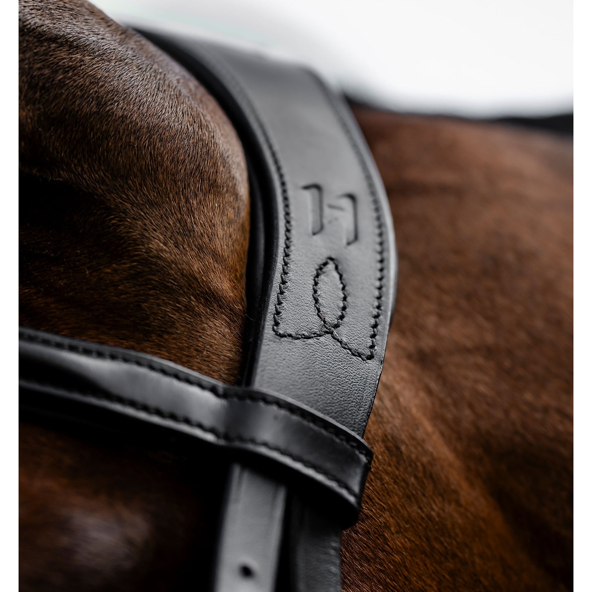Horseware Figure 8 Grackle Bridle