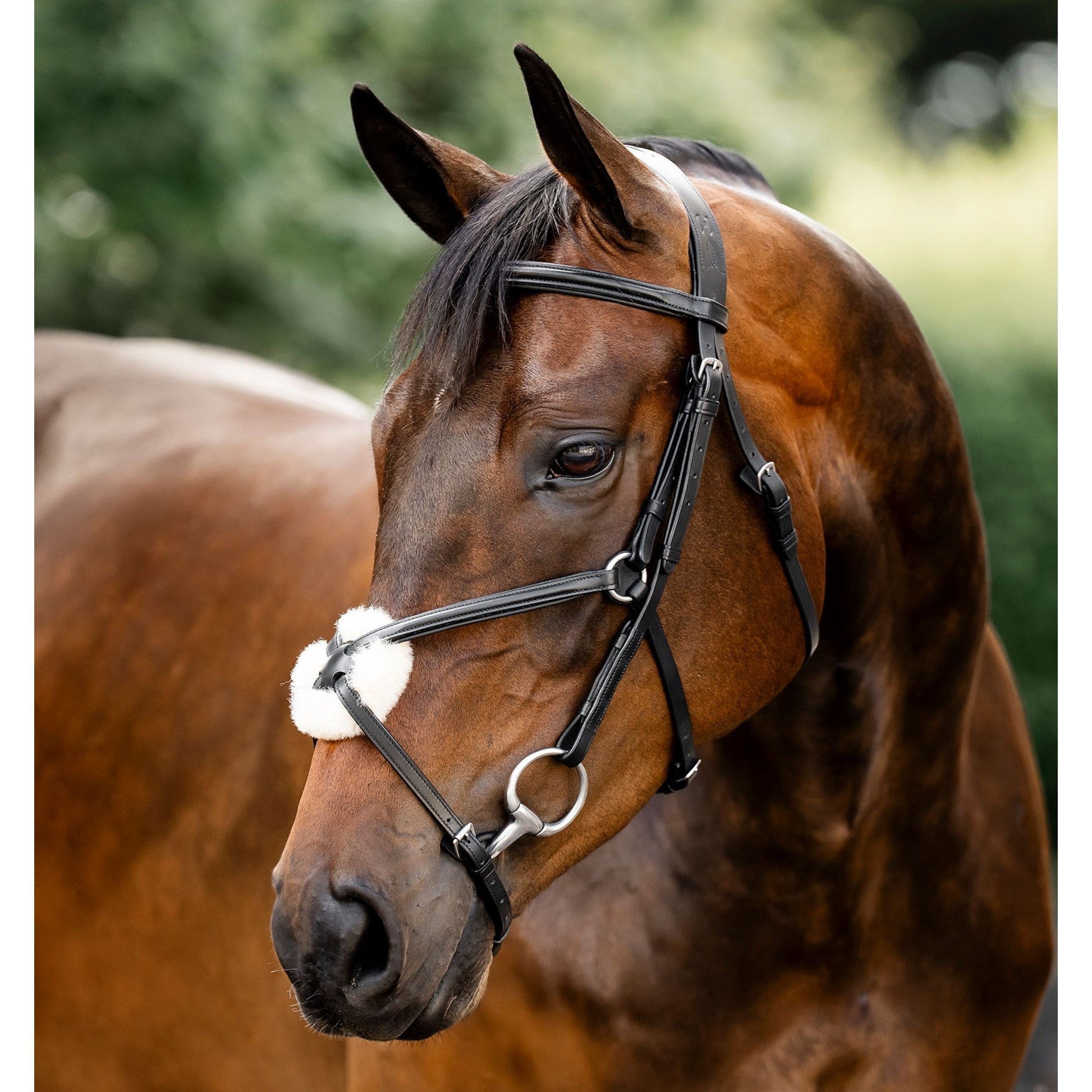 Horseware Figure 8 Grackle Bridle