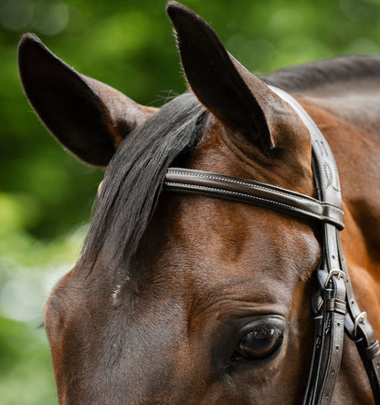 Horseware Figure 8 Grackle Bridle
