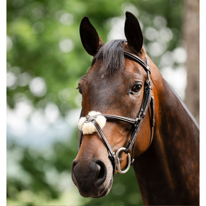 Horseware Figure 8 Grackle Bridle