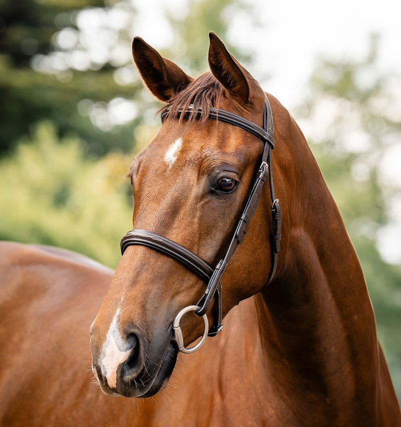 Horseware Hunter Bridle