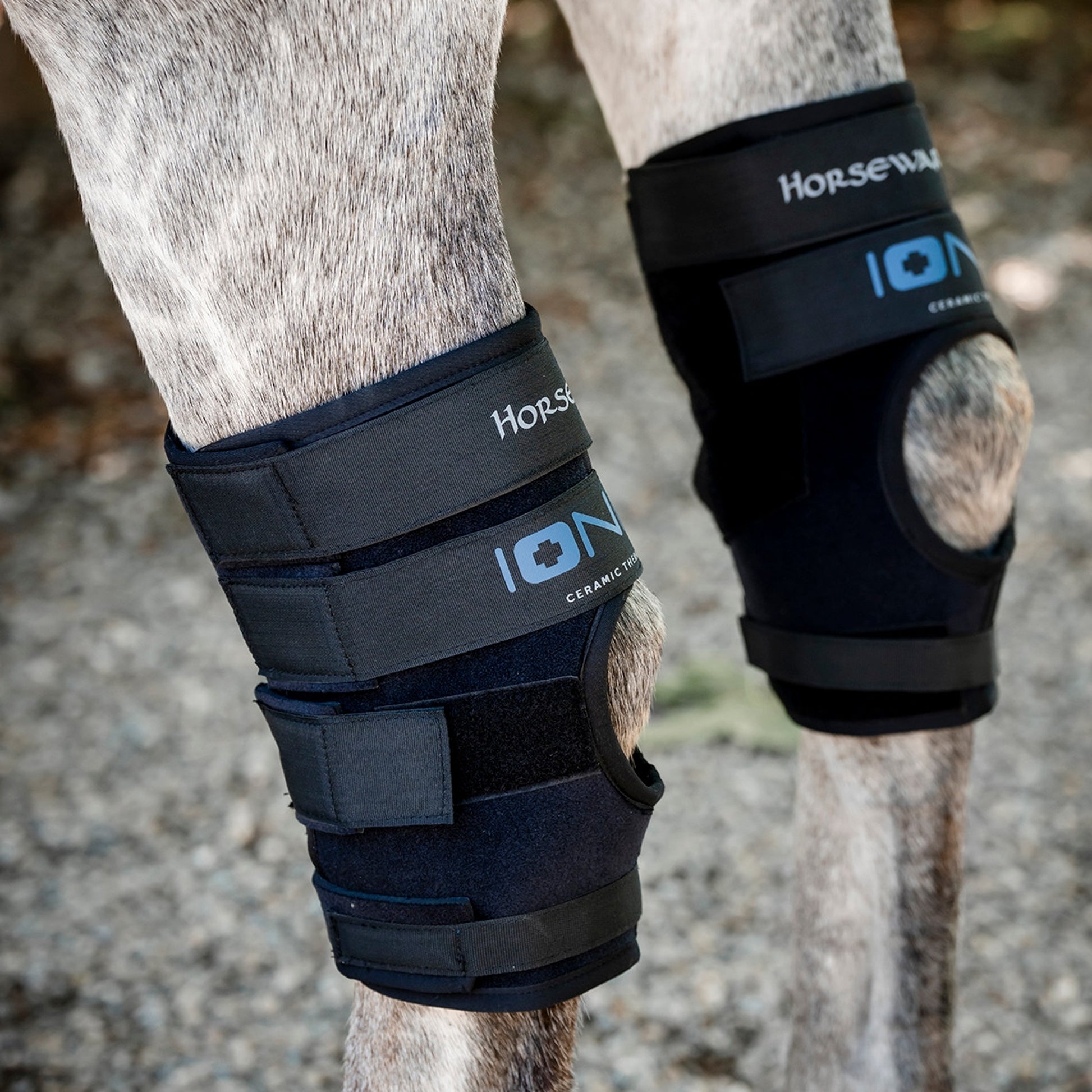 Horseware Ionic Hock Boots