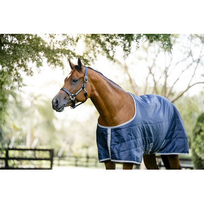 Horseware Ionic Therapy Quarter Horse Stable 50g