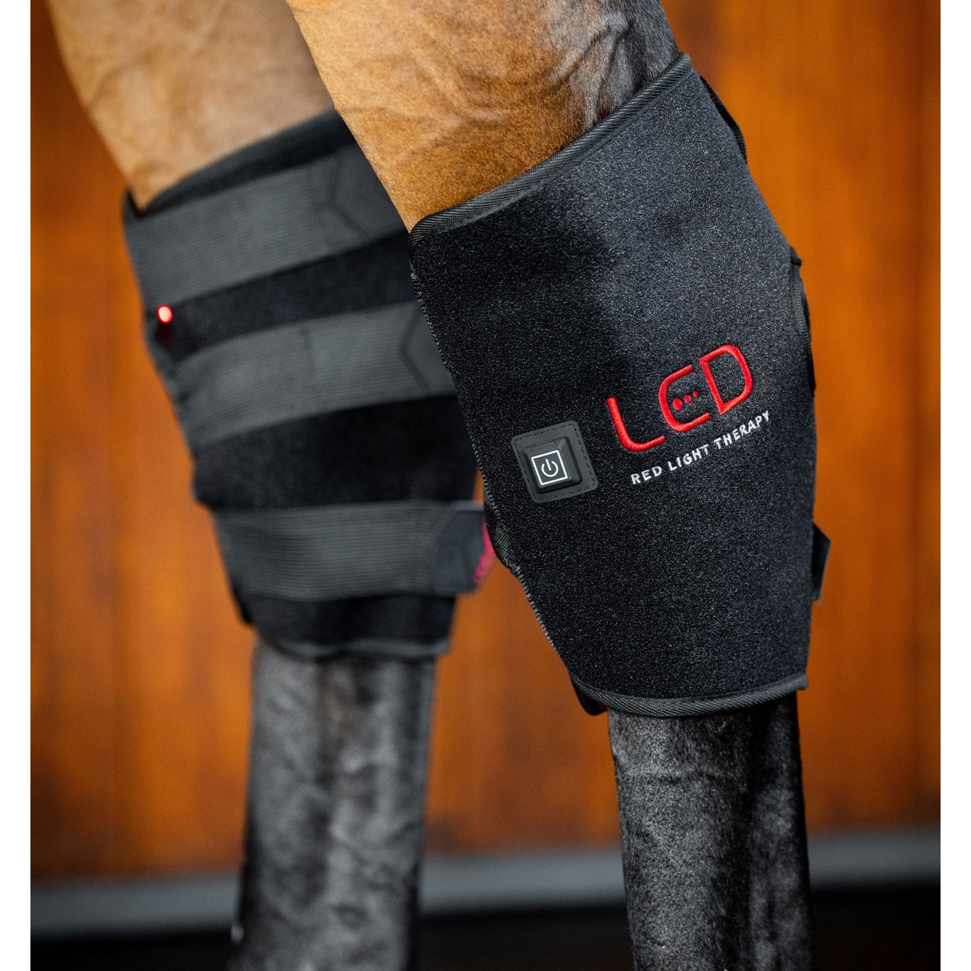 Horseware LED Red Light Therapy Hock Boot