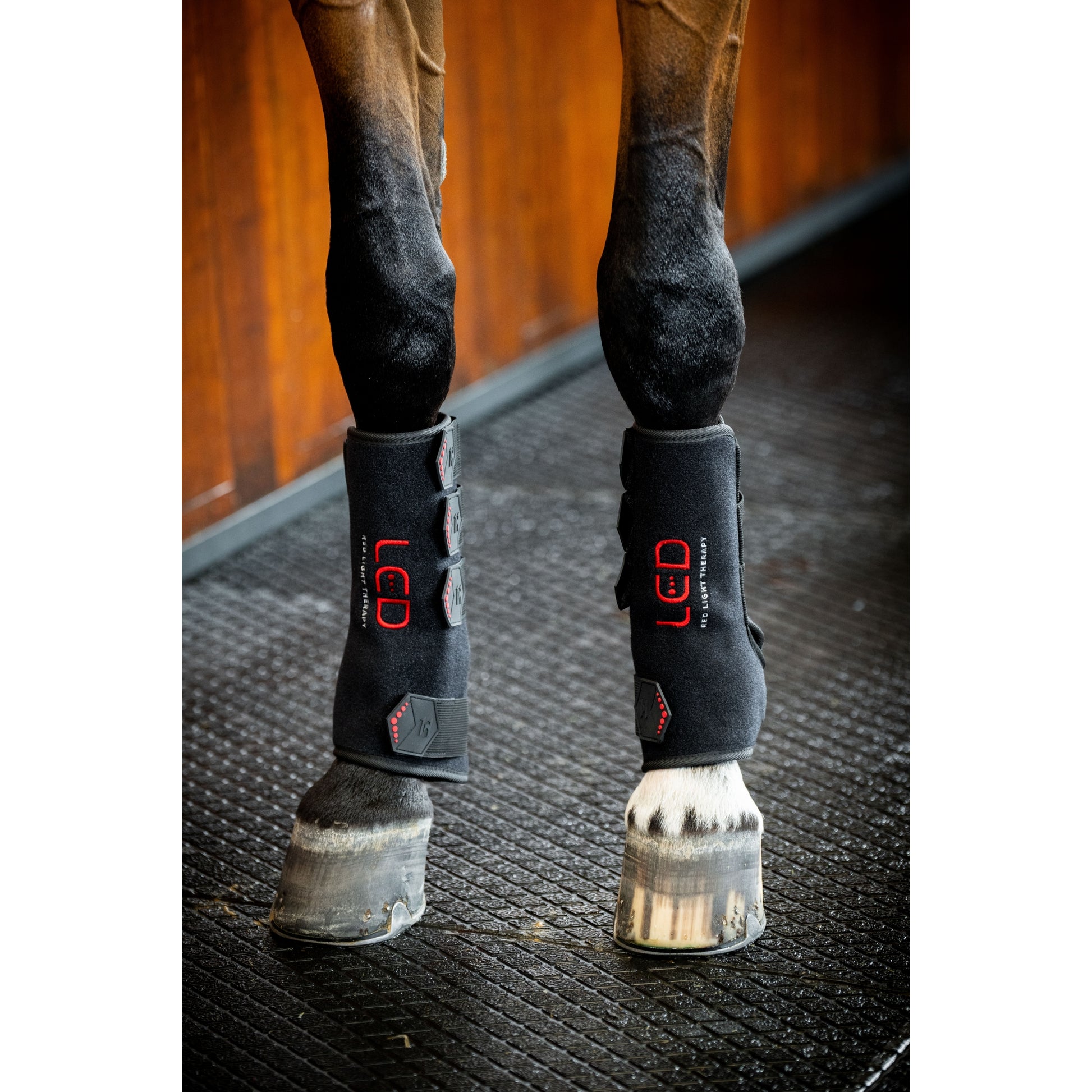 Horseware LED Red Light Therapy Leg Wrap
