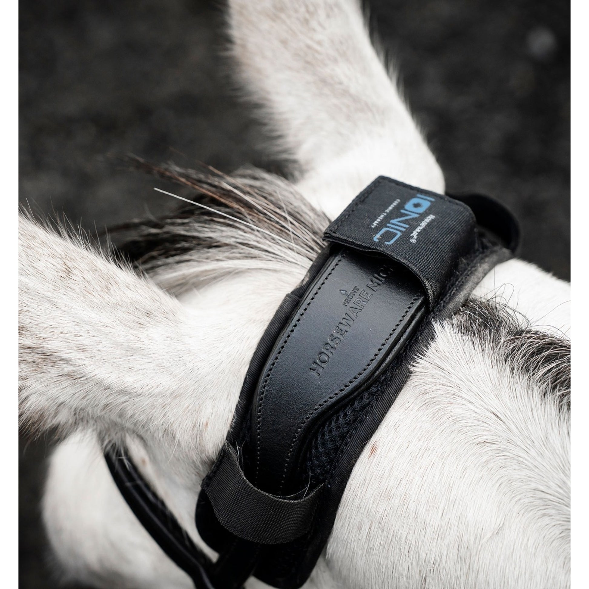 Horseware Ionic Poll Cover