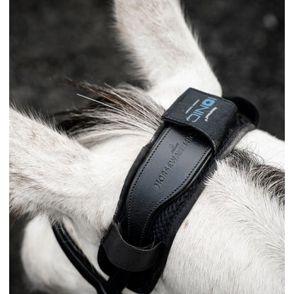 Horseware Ionic Poll Cover