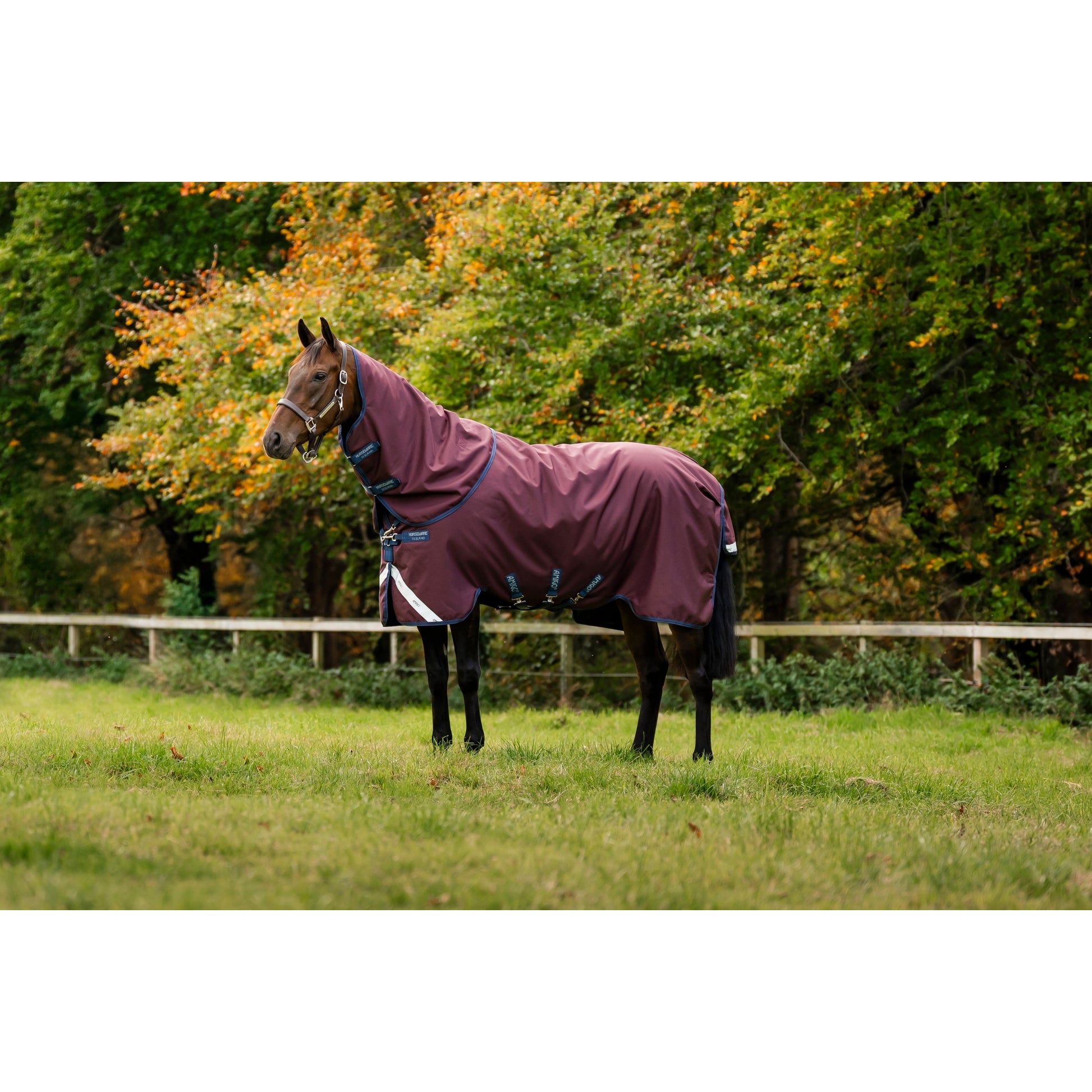 Amigo Bravo 12 Plus Turnout (0g Lite)