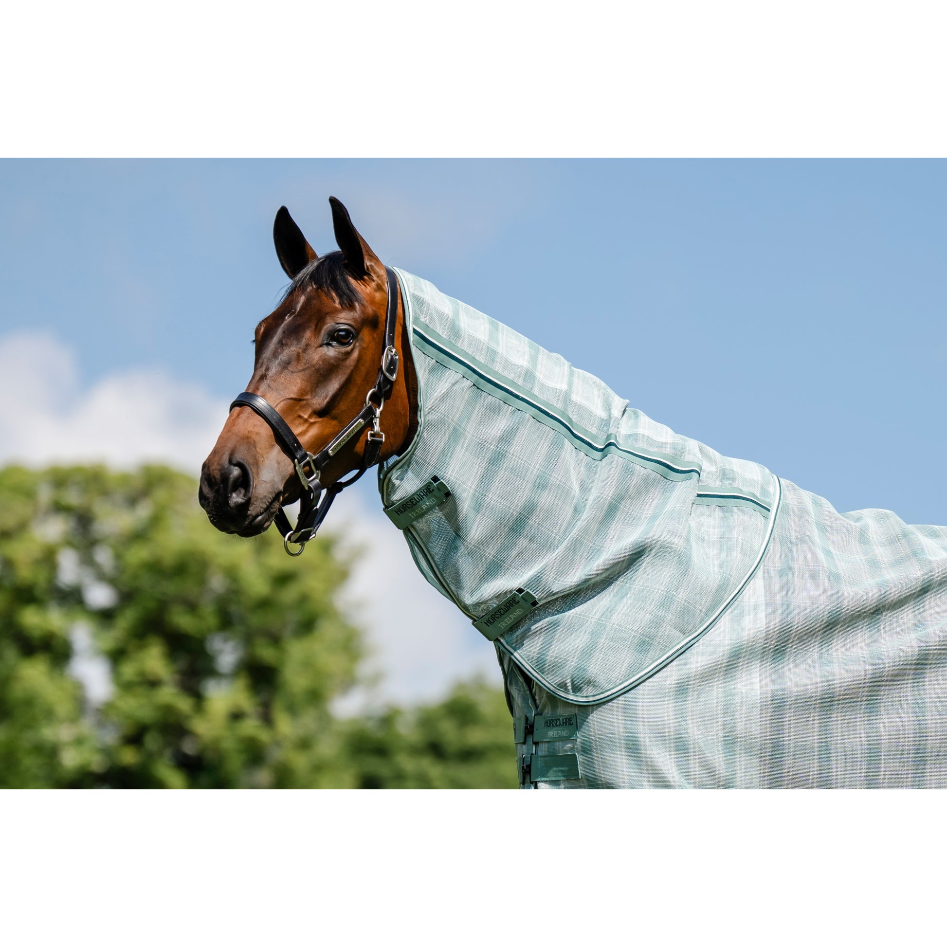 Horseware Newmarket Fly Sheet Hood