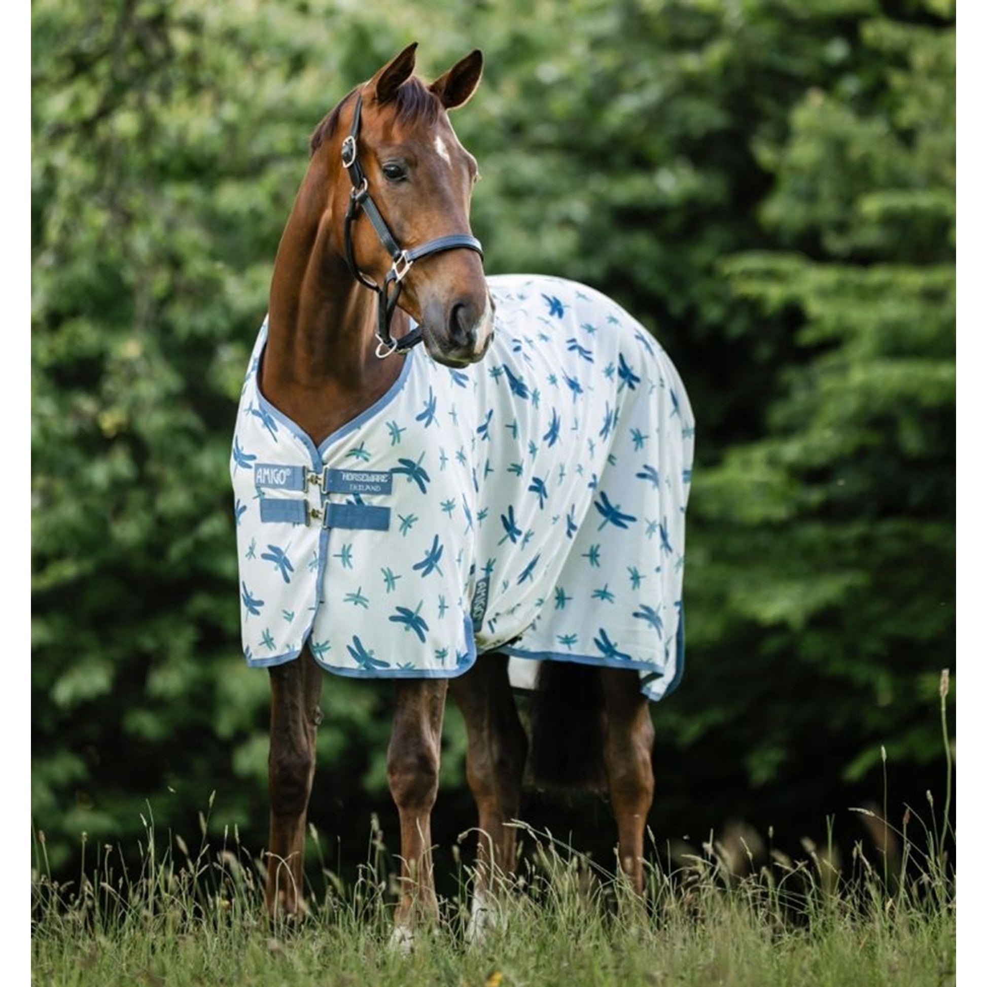 Amigo Bug Rug Fly Sheet