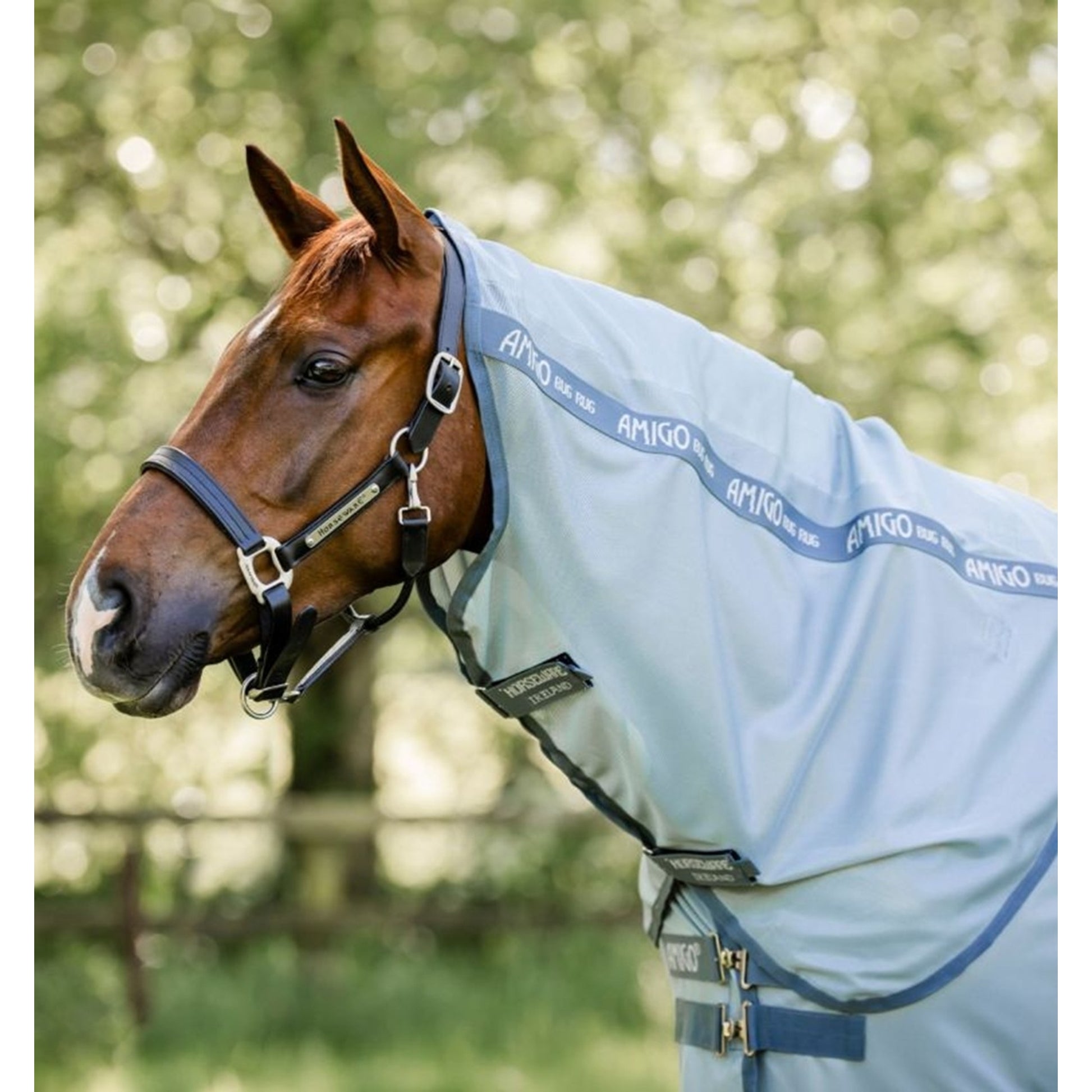 Amigo Bug Rug Hood