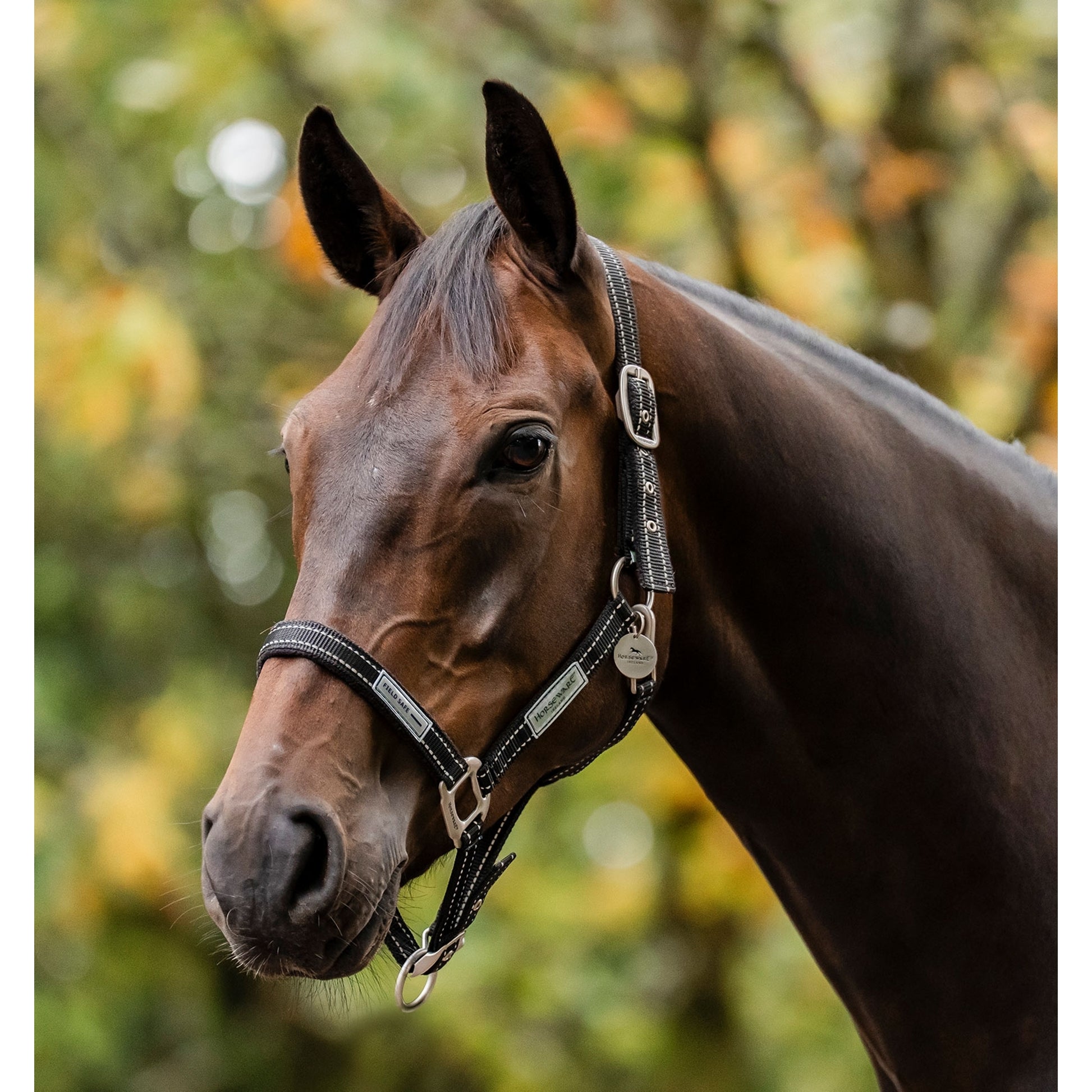 Horseware Fieldsafe Halter
