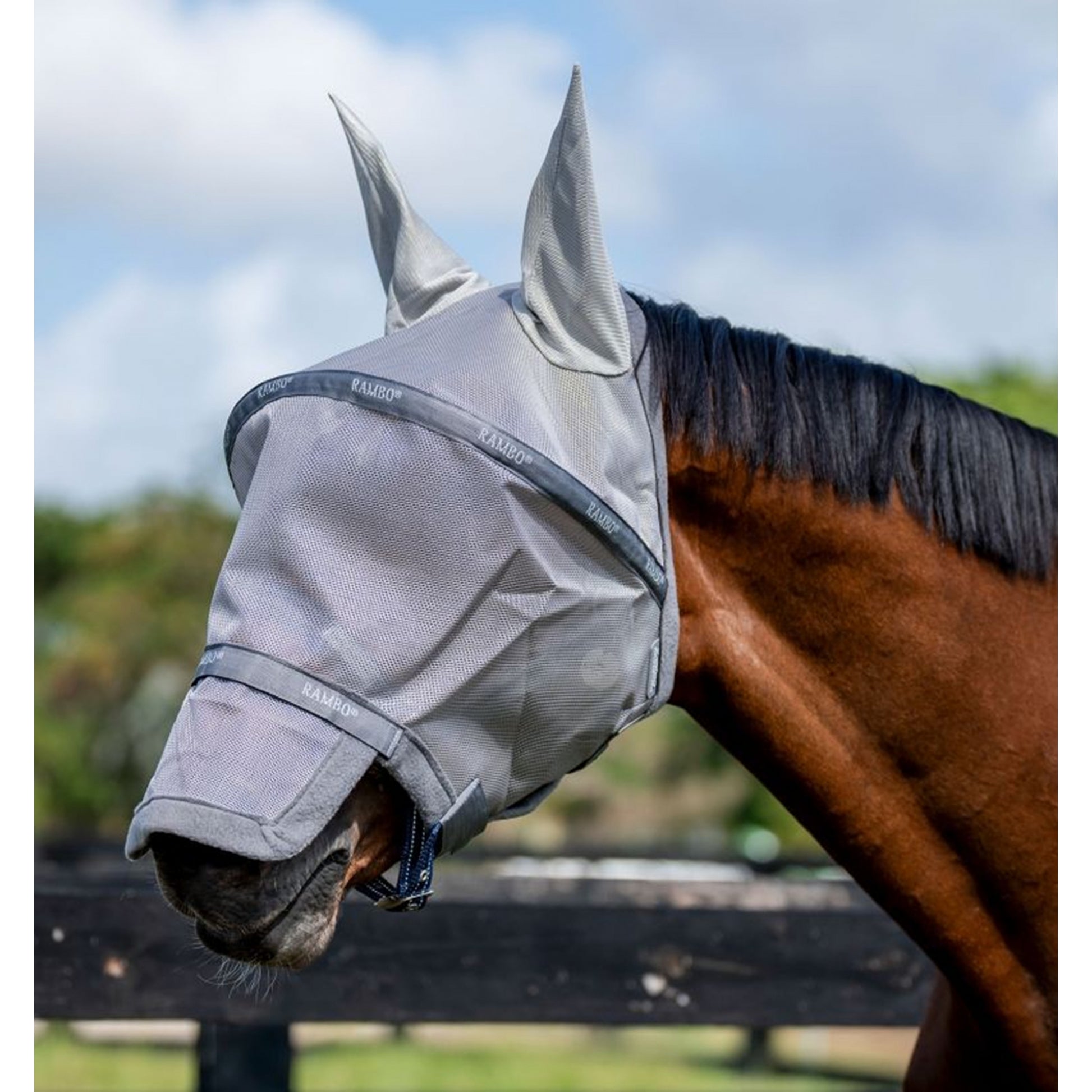 Rambo Flymask