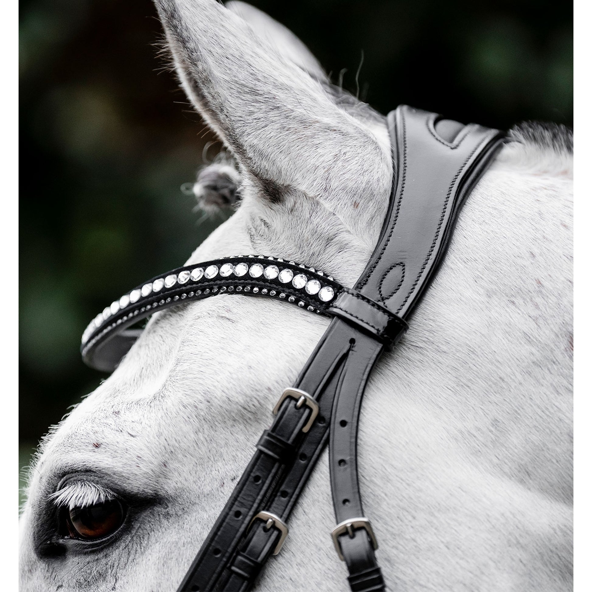 Horseware Diamante Flash Bridle