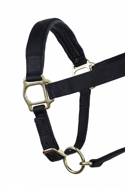 Perri's Neoprene/Nylon Halter
