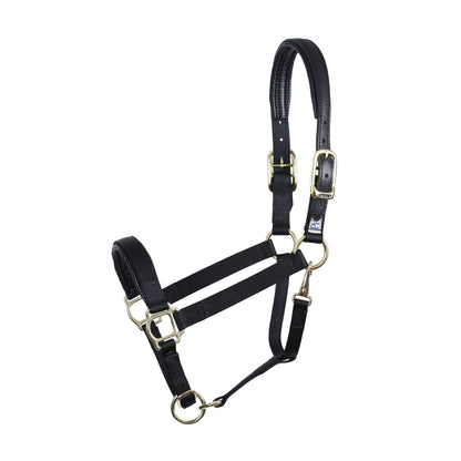 Perri's Neoprene/Nylon Halter