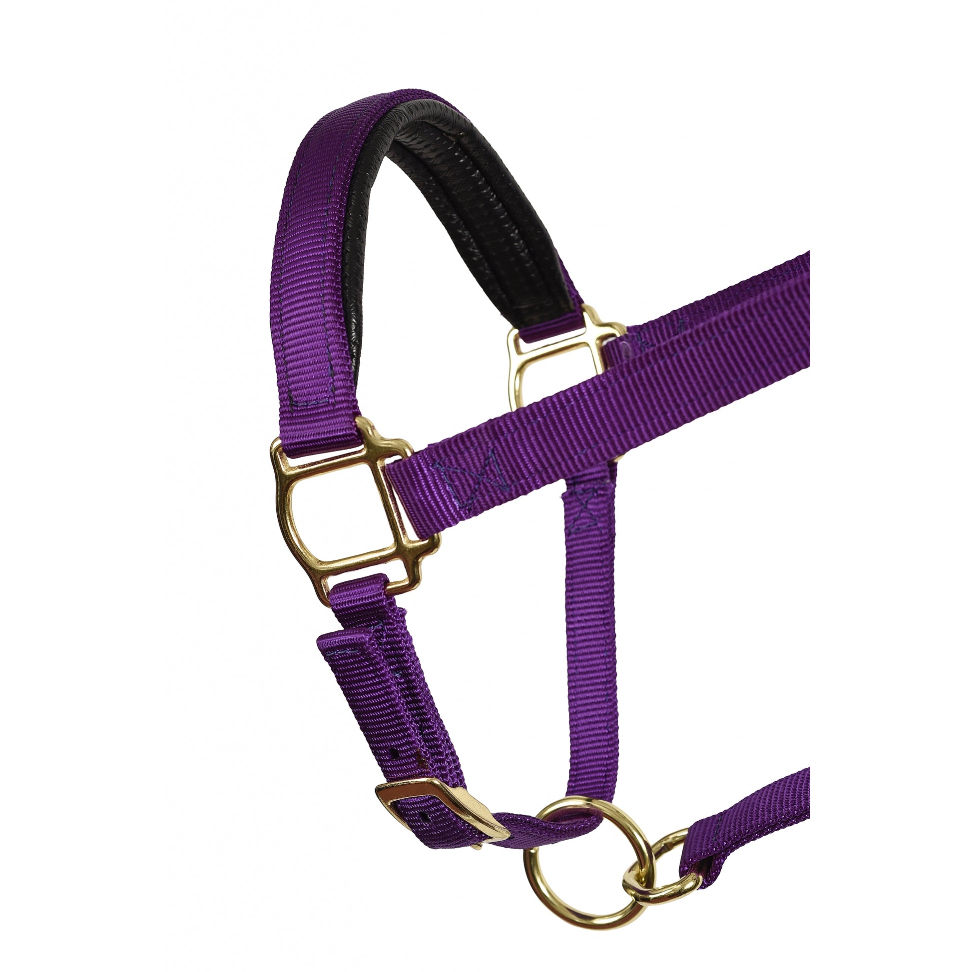 Perri's Neoprene/Nylon Halter