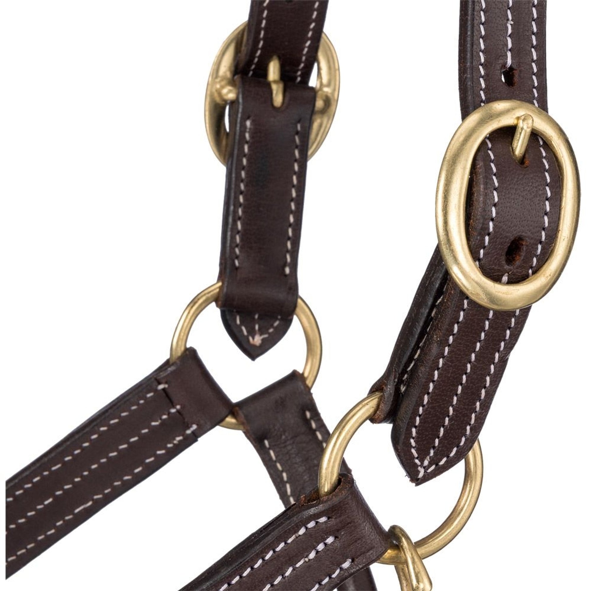 Tough1 Premium Harness Leather Halter