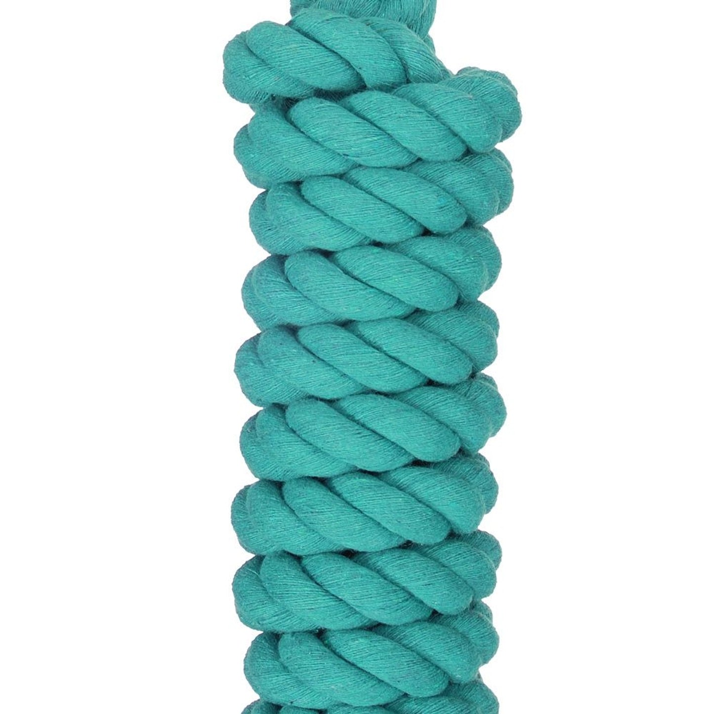 4-512269.jpg