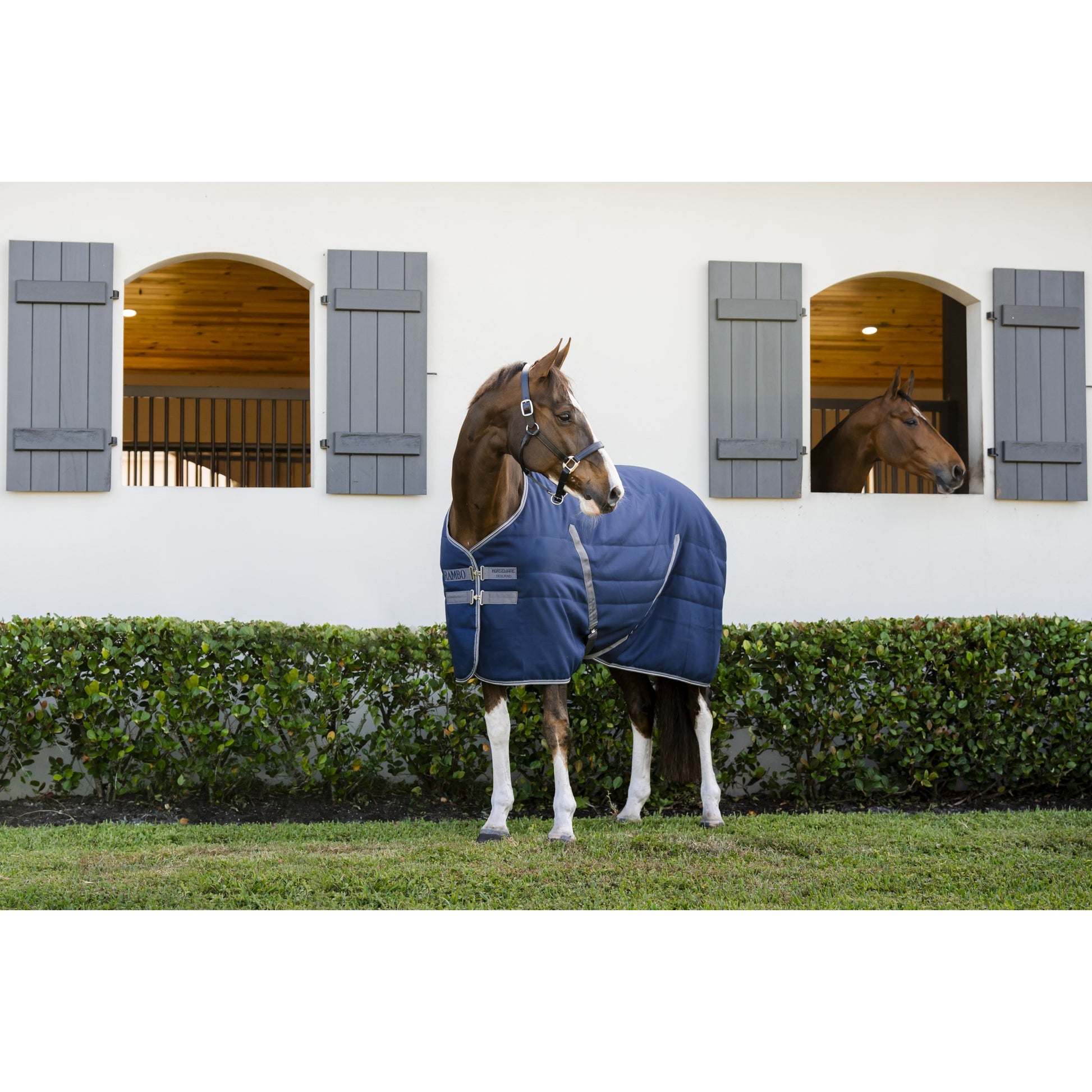 Rambo Stable Blanket (200g Medium)