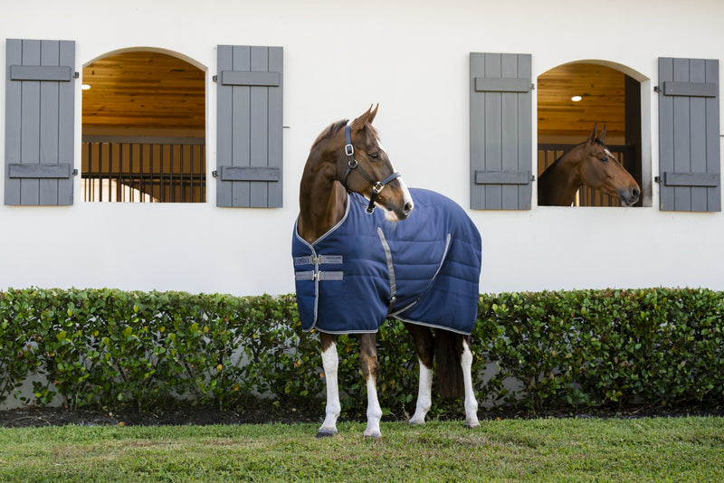 Rambo Stable Blanket (400g Heavy)