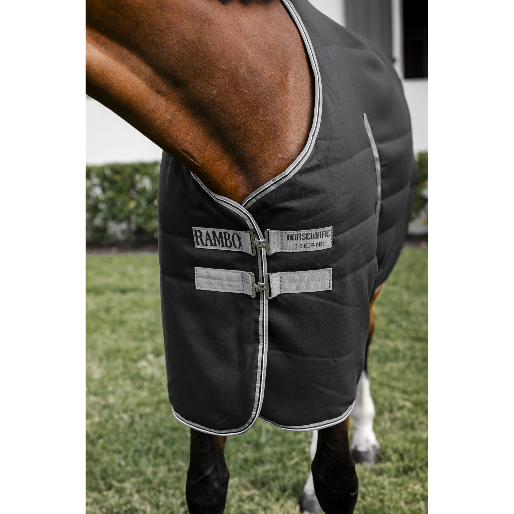 Rambo Stable Blanket (200g Medium)
