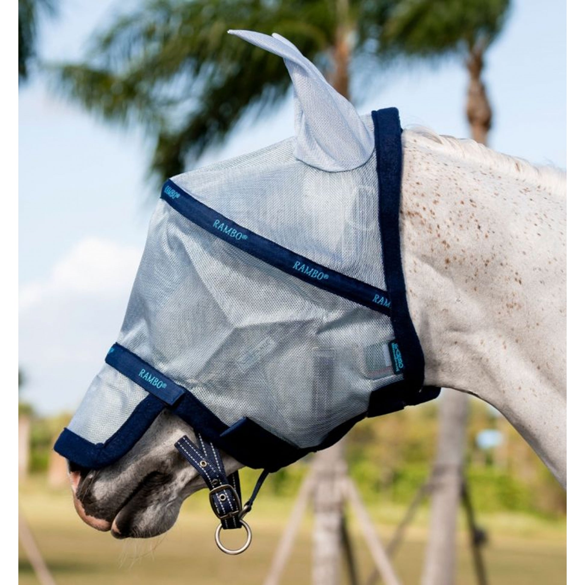 Rambo Flymask