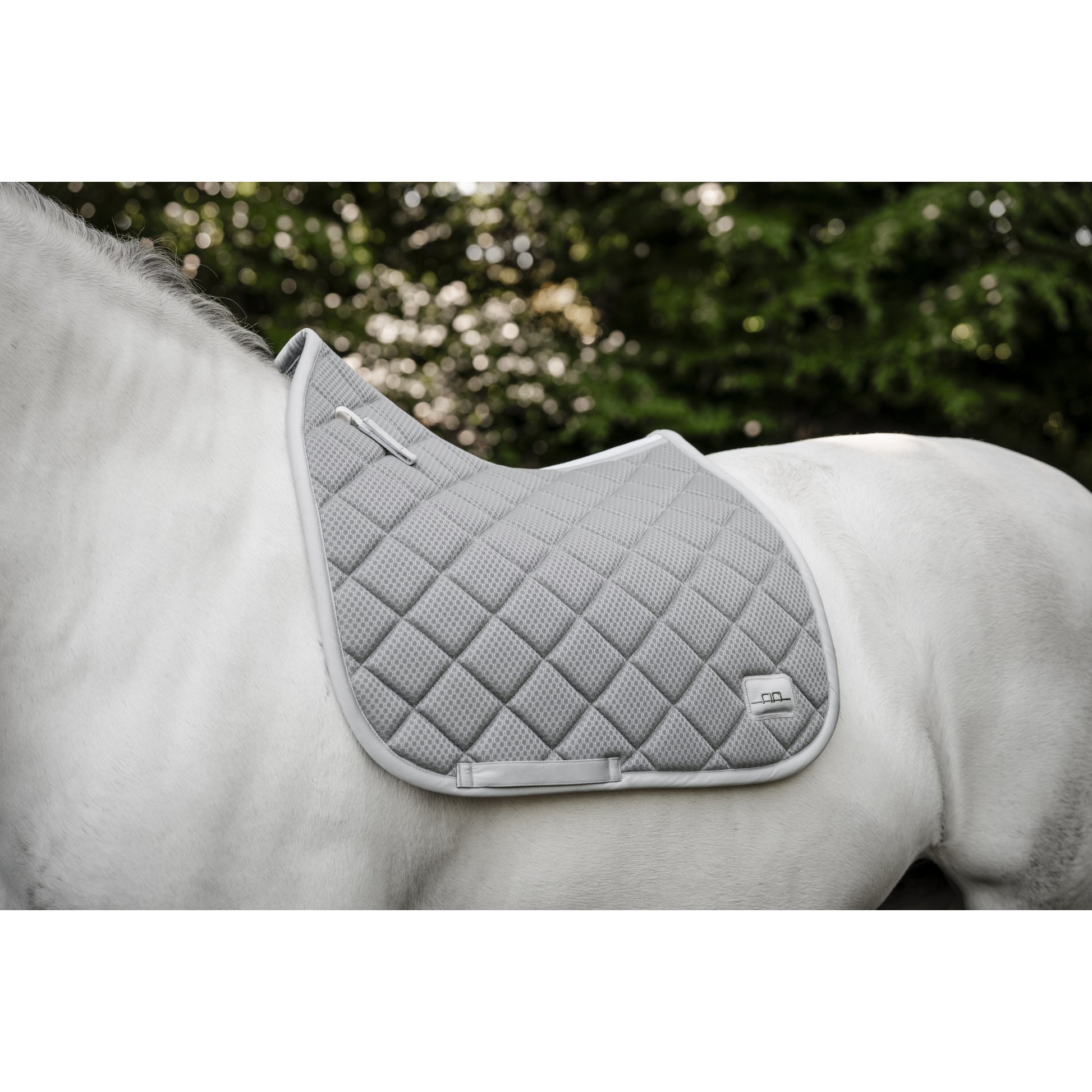 Alessandro Albanese Performance Dressage Pad