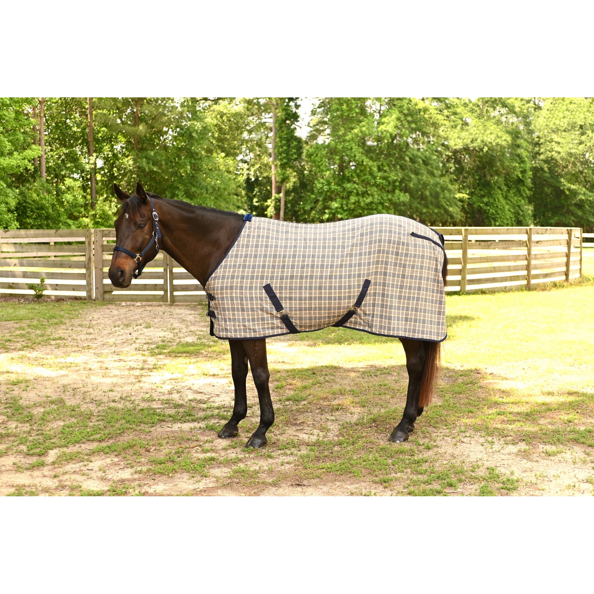 Gatsby Plaid Stable Sheet